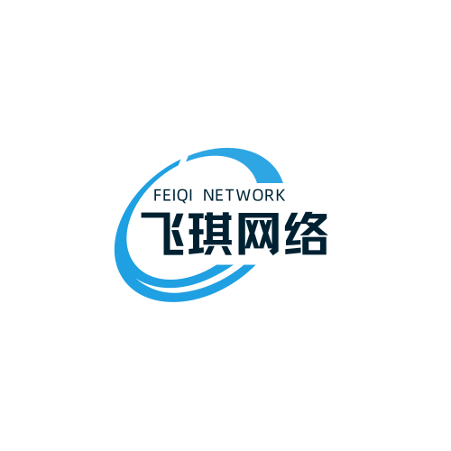 飞琪网络专注互联网服务商